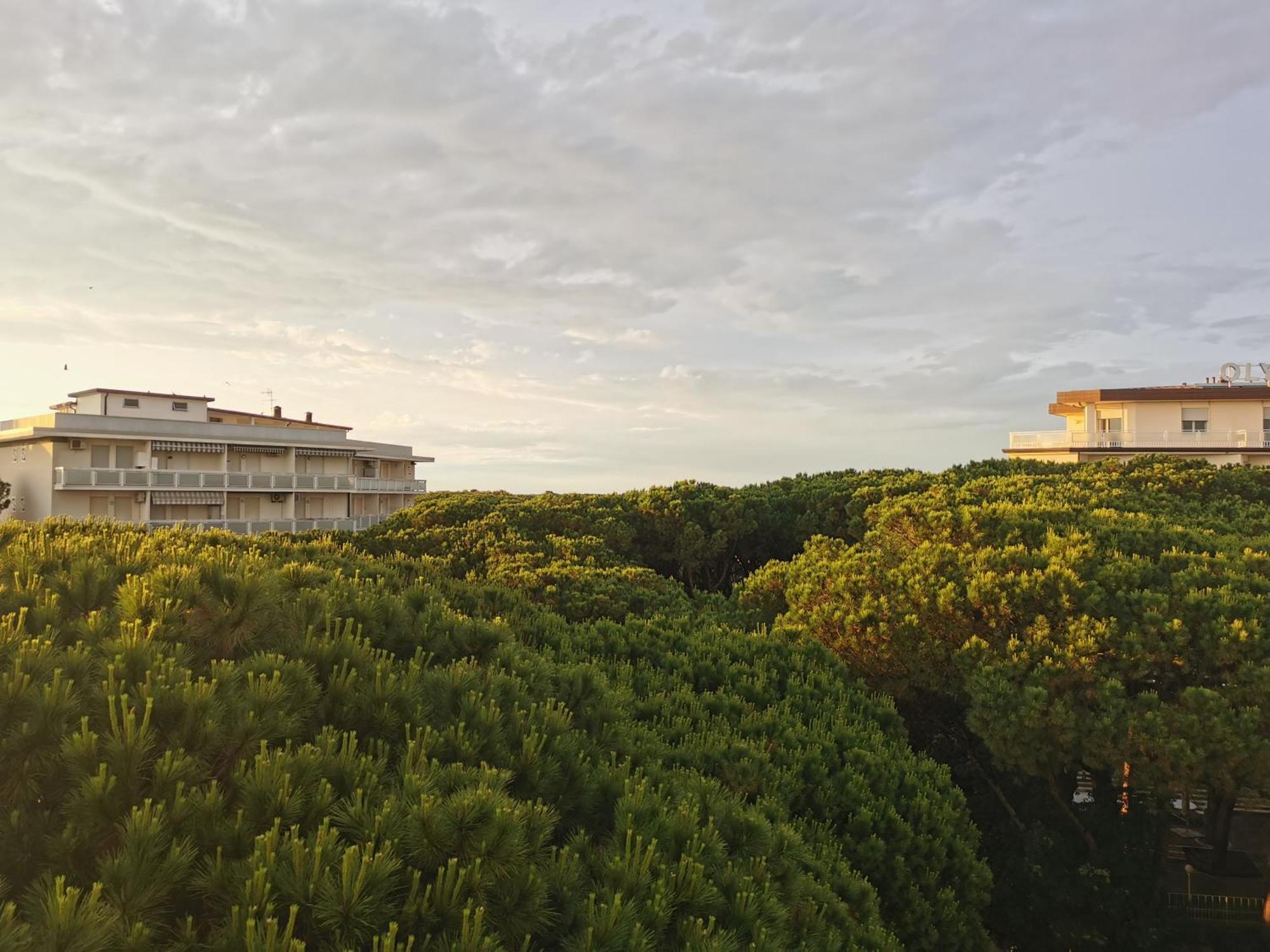 Hotel Pine Beach Росолина Маре Екстериор снимка